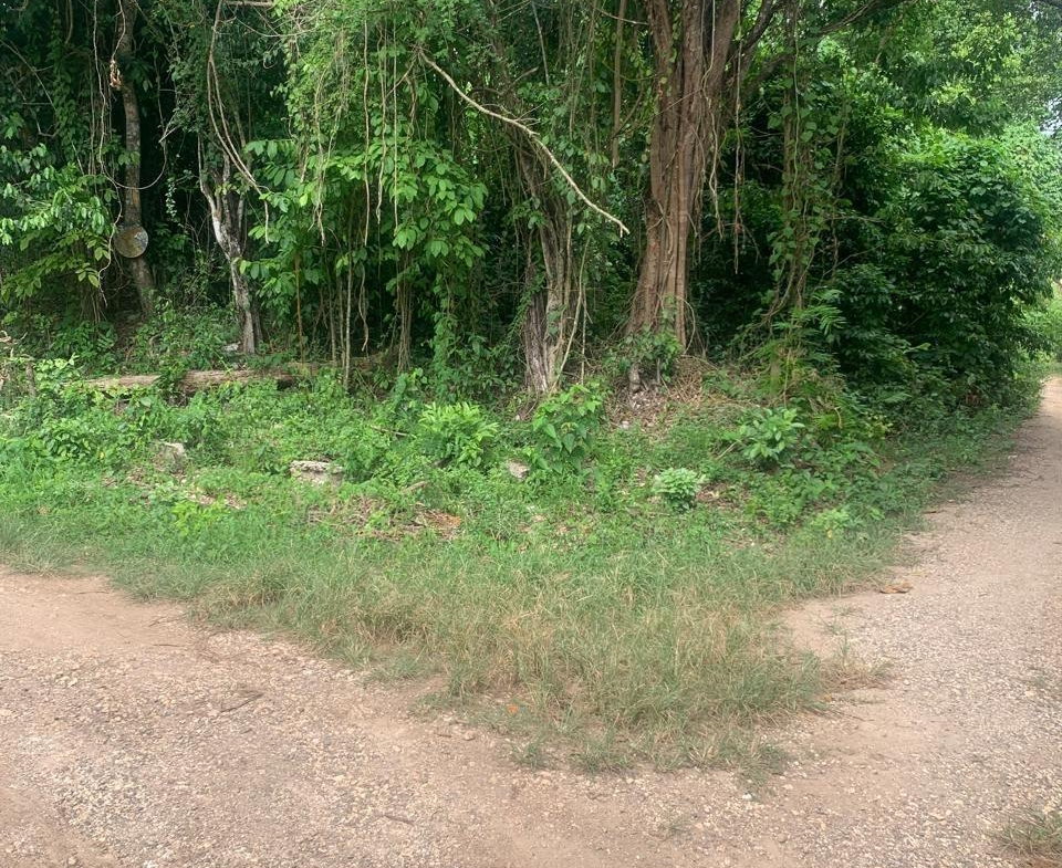 First image of Lot 140 Cashew Close And Puie Dri in Runaway Bay, St. Ann, Jamaica - property is For Sale