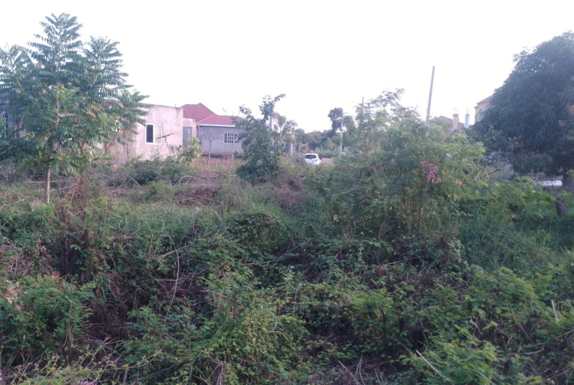 Ninth image of 59 Fyall Four Paths in Four Paths, Clarendon, Jamaica - property is For Sale