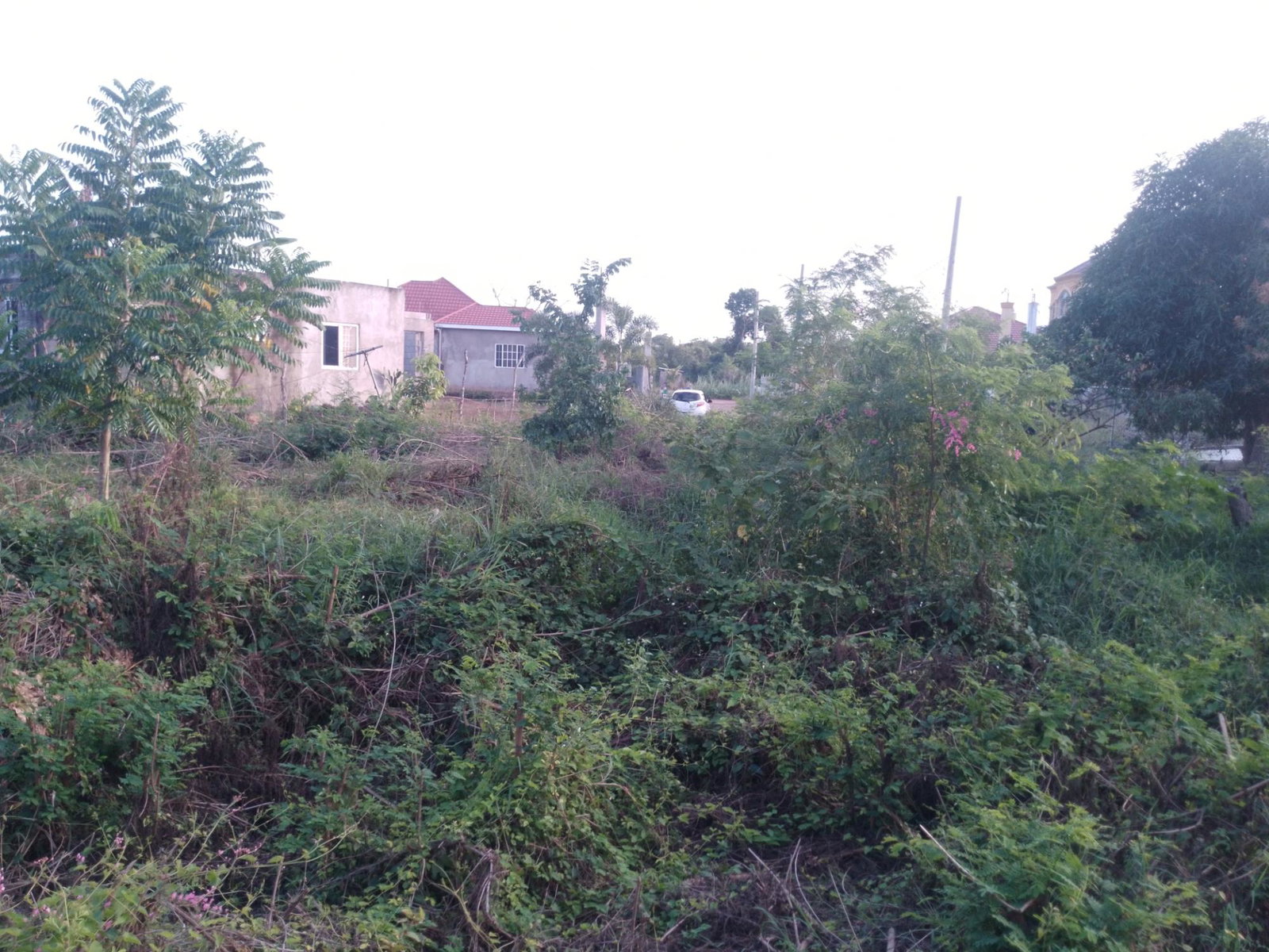 Ninth image of 59 Fyall Four Paths in Four Paths, Clarendon, Jamaica - property is For Sale