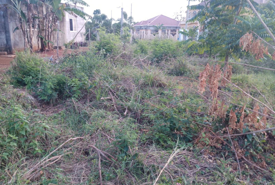 Tenth image of 59 Fyall Four Paths in Four Paths, Clarendon, Jamaica - property is For Sale