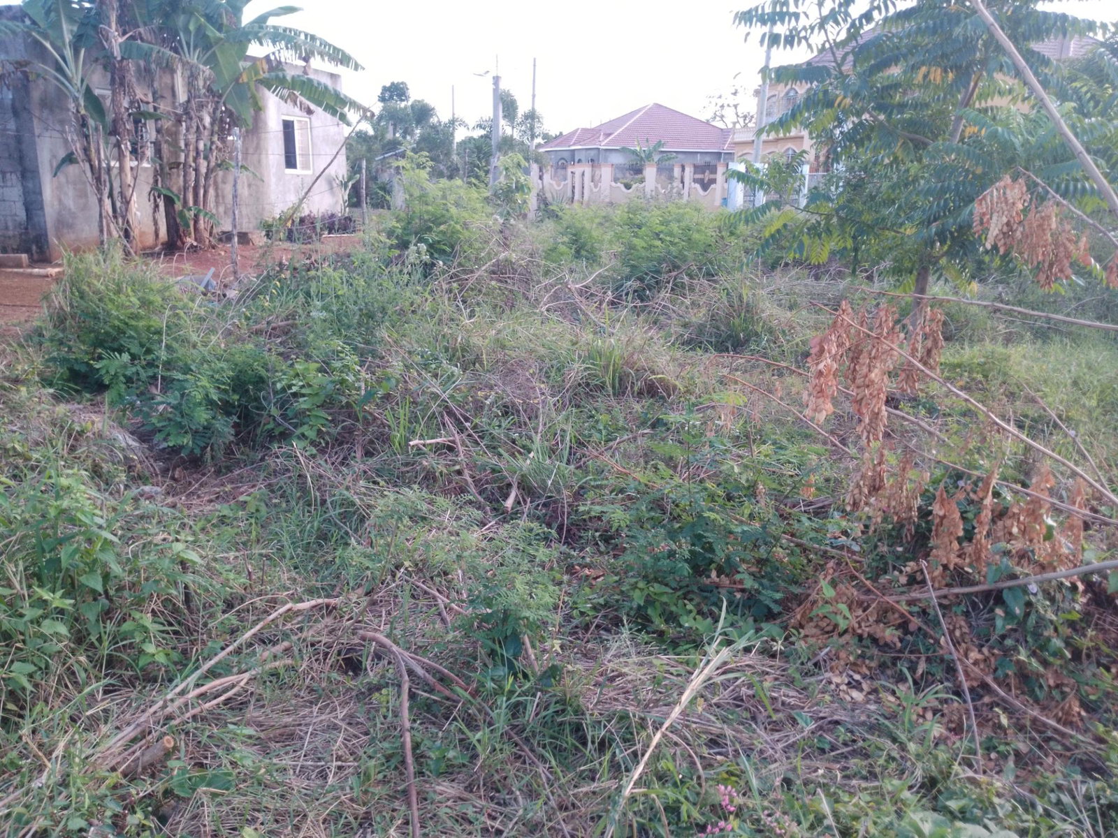 Tenth image of 59 Fyall Four Paths in Four Paths, Clarendon, Jamaica - property is For Sale