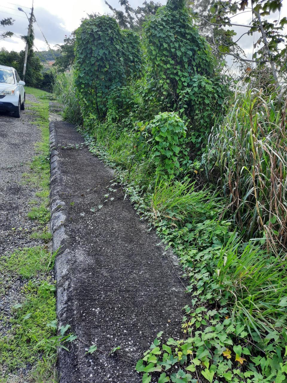 Sixth image of 34 Syndicate Av. Brumalia in Mandeville, Manchester, Jamaica - property is For Sale