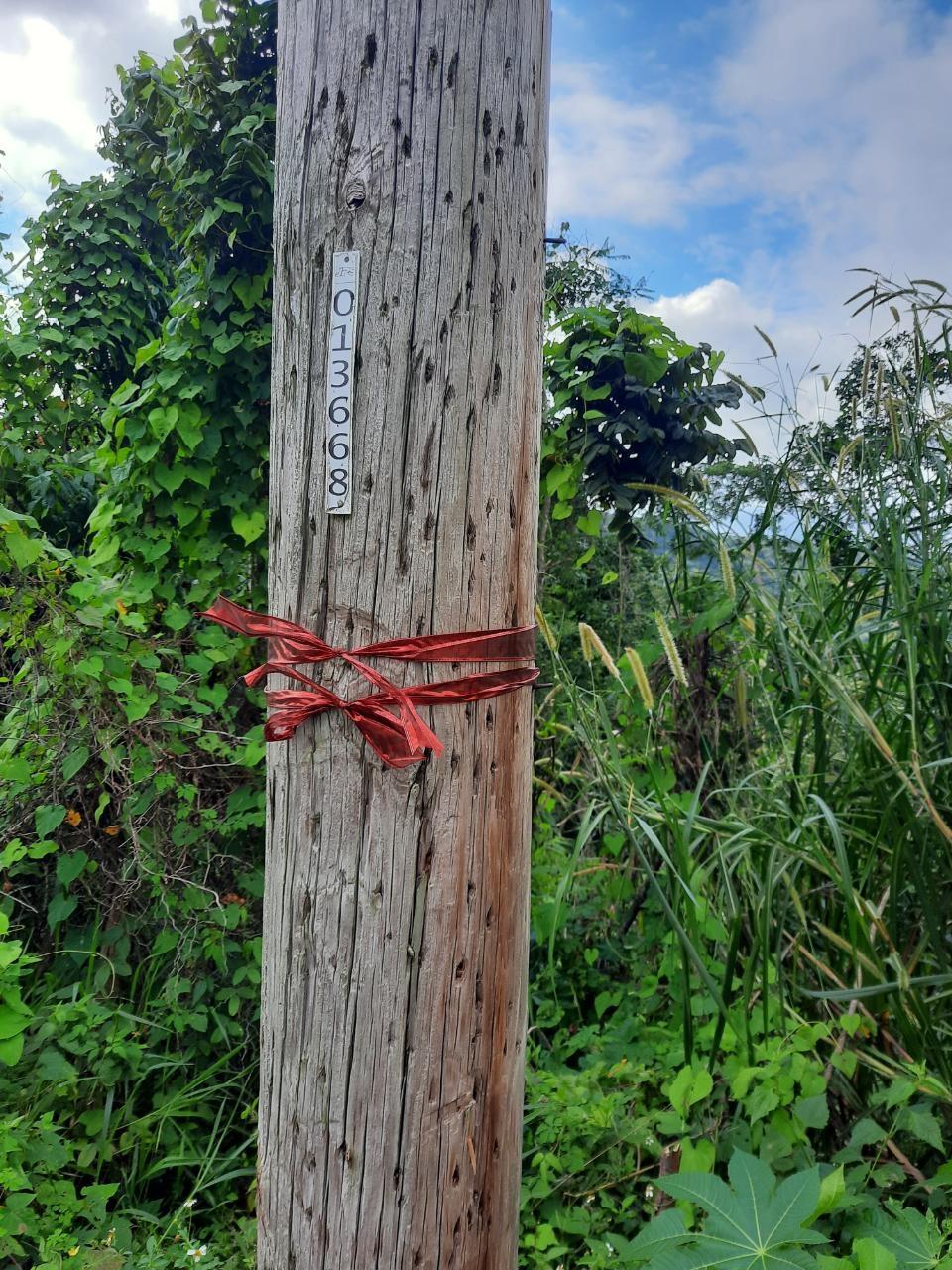 Seventh image of 34 Syndicate Av. Brumalia in Mandeville, Manchester, Jamaica - property is For Sale