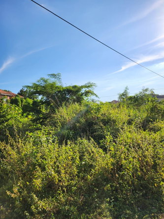 Third image of 18 Merrivale Meadows, Chatea in Chateau, Clarendon, Jamaica - property is For Sale