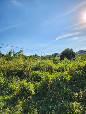 Fourth image of 18 Merrivale Meadows, Chatea in Chateau, Clarendon, Jamaica - property is For Sale