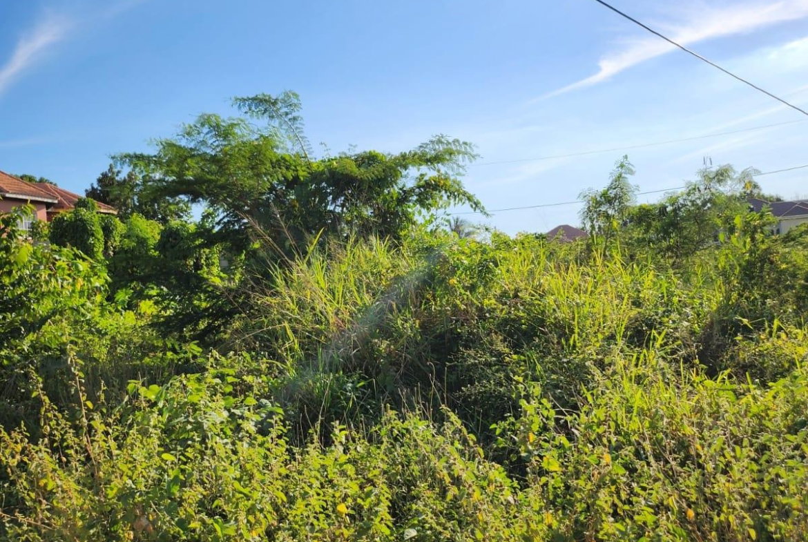 First image of 24 Merrivale Meadows,chateau in Chateau, Clarendon, Jamaica - property is For Sale