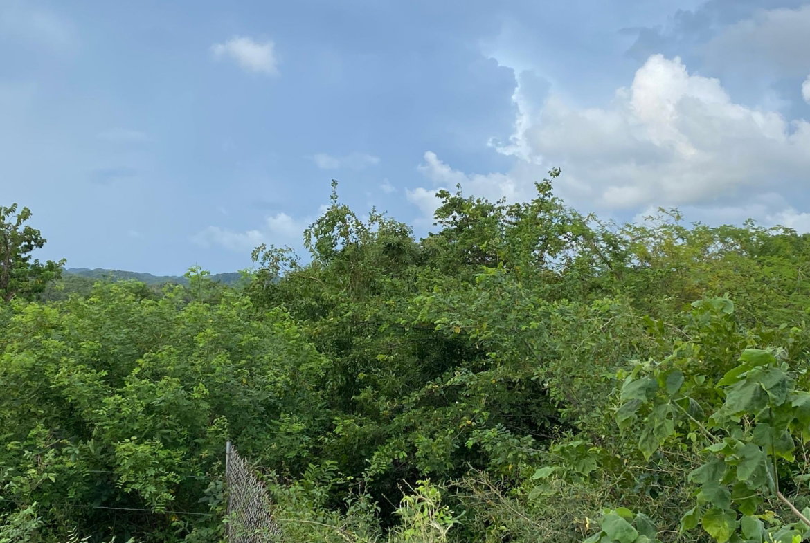 Fourth image of Lot 372 Nasberry Villa, Block 1, in Spanish Town, St. Catherine, Jamaica - property is For Sale