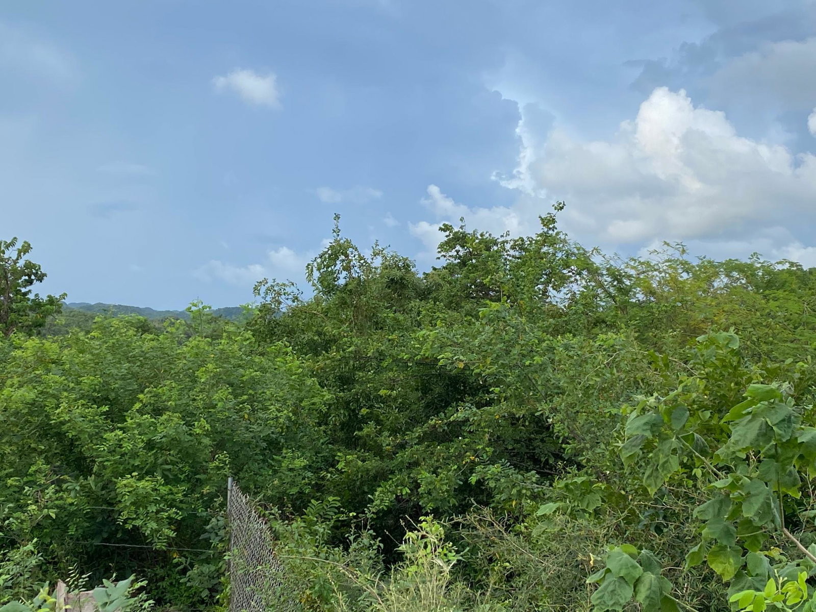Fourth image of Lot 372 Nasberry Villa, Block 1, in Spanish Town, St. Catherine, Jamaica - property is For Sale