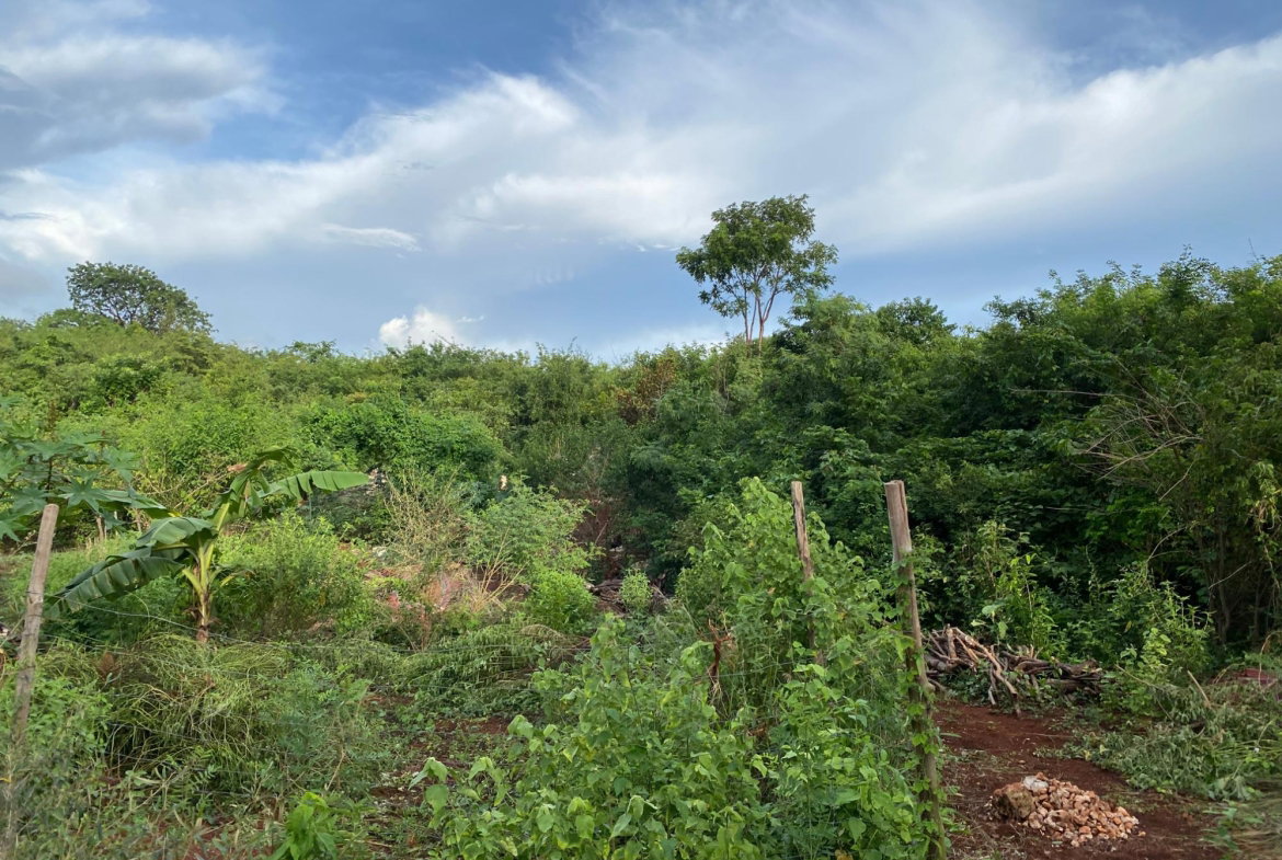 Sixth image of Lot 372 Nasberry Villa, Block 1, in Spanish Town, St. Catherine, Jamaica - property is For Sale