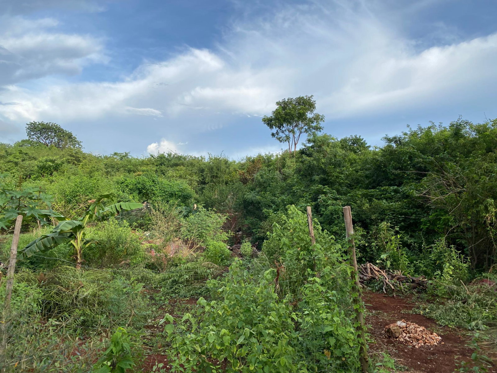 Sixth image of Lot 372 Nasberry Villa, Block 1, in Spanish Town, St. Catherine, Jamaica - property is For Sale