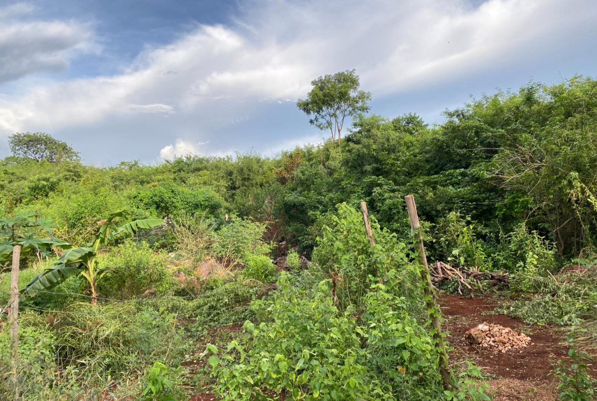 Seventh image of Lot 372 Nasberry Villa, Block 1, in Spanish Town, St. Catherine, Jamaica - property is For Sale