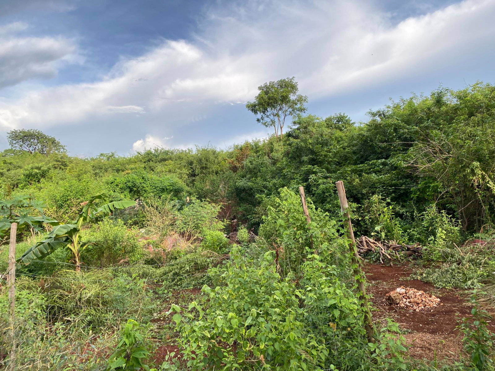 Seventh image of Lot 372 Nasberry Villa, Block 1, in Spanish Town, St. Catherine, Jamaica - property is For Sale