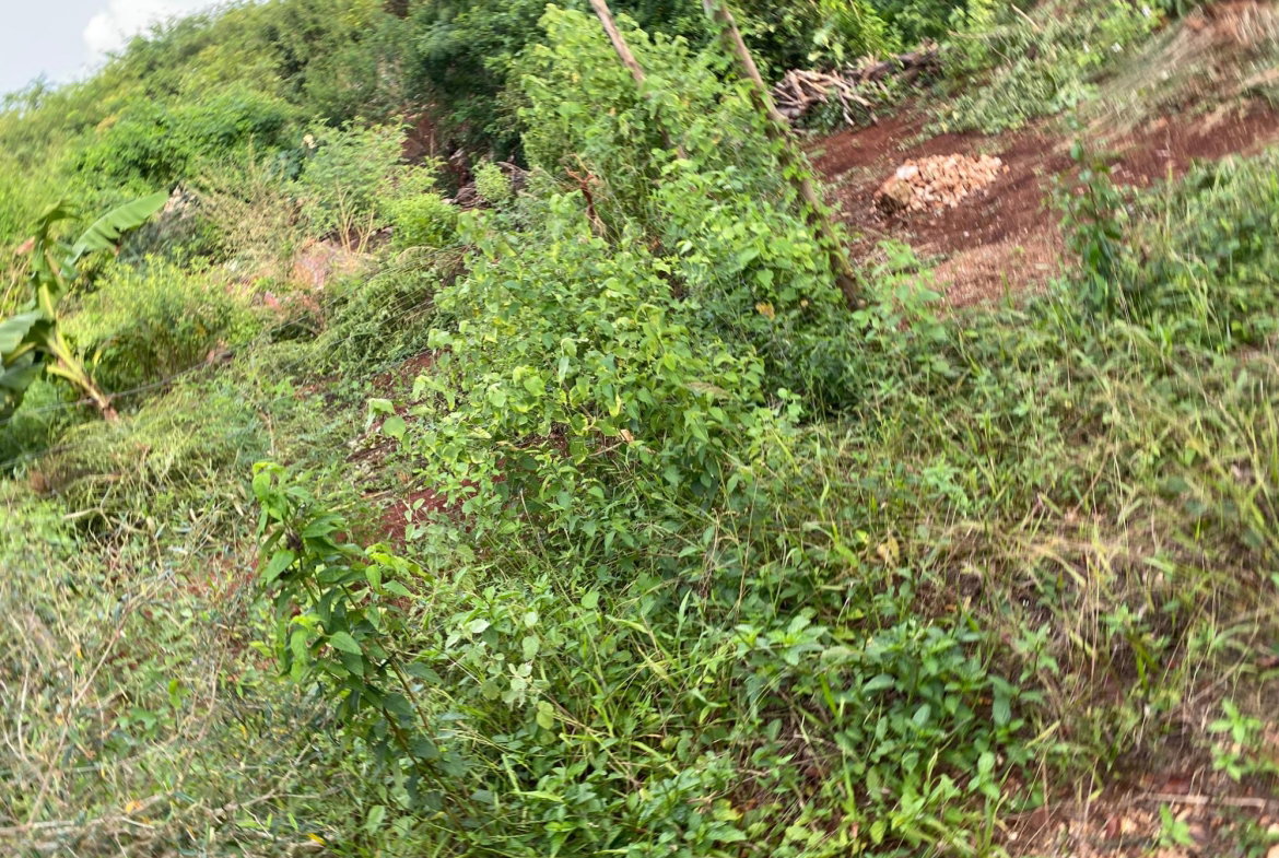 Eighth image of Lot 372 Nasberry Villa, Block 1, in Spanish Town, St. Catherine, Jamaica - property is For Sale