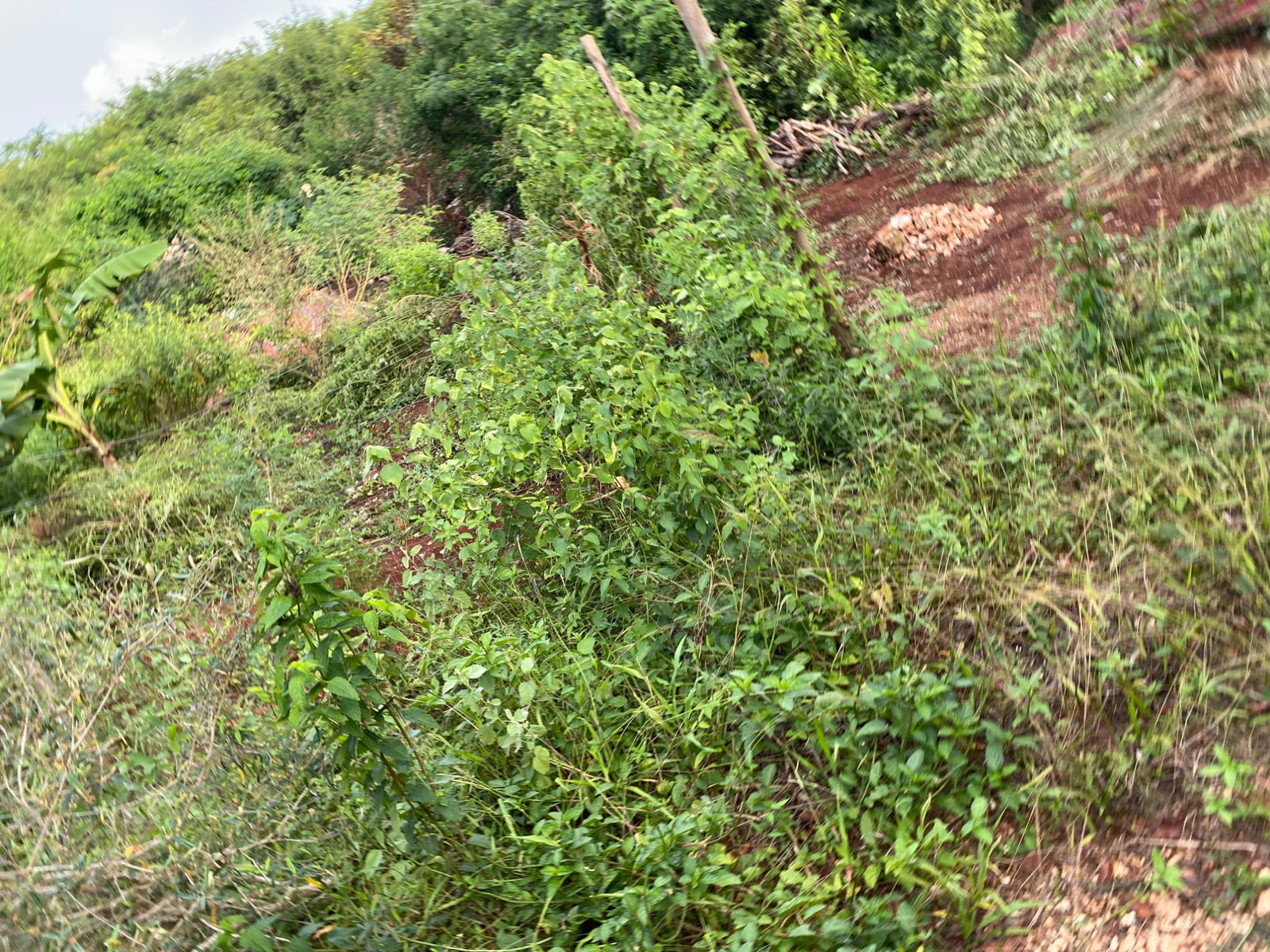 Eighth image of Lot 372 Nasberry Villa, Block 1, in Spanish Town, St. Catherine, Jamaica - property is For Sale