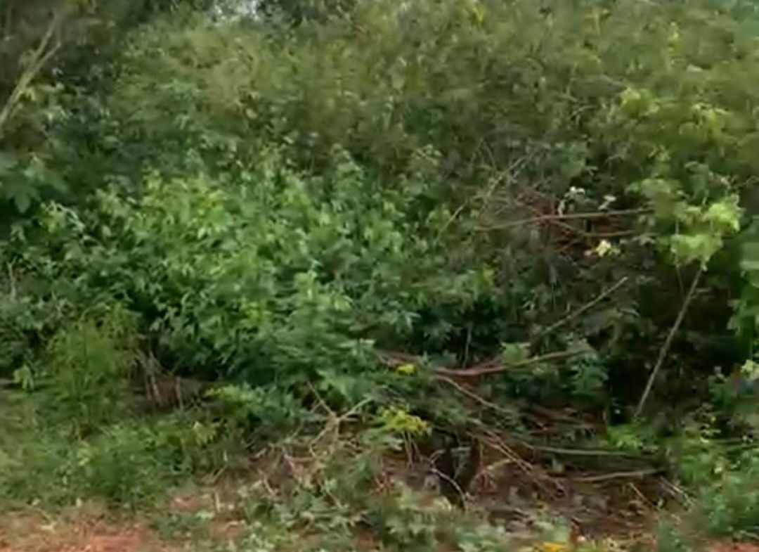 Second image of 7 Fairview, Spanish Town in Spanish Town, St. Catherine, Jamaica - property is For Sale