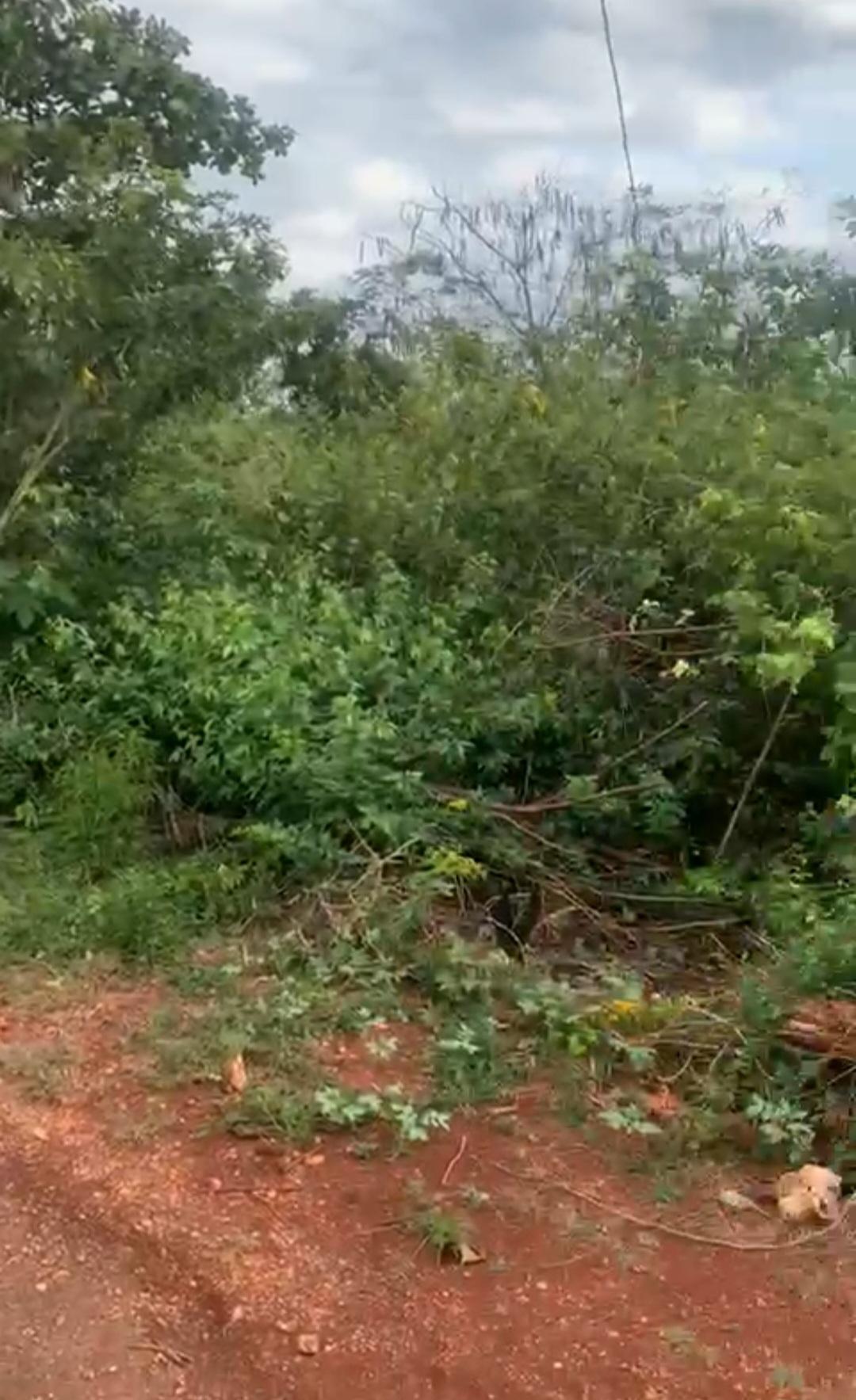 Second image of 7 Fairview, Spanish Town in Spanish Town, St. Catherine, Jamaica - property is For Sale