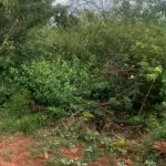 First image of 7 Fairview, Spanish Town in Spanish Town, St. Catherine, Jamaica - property is For Sale