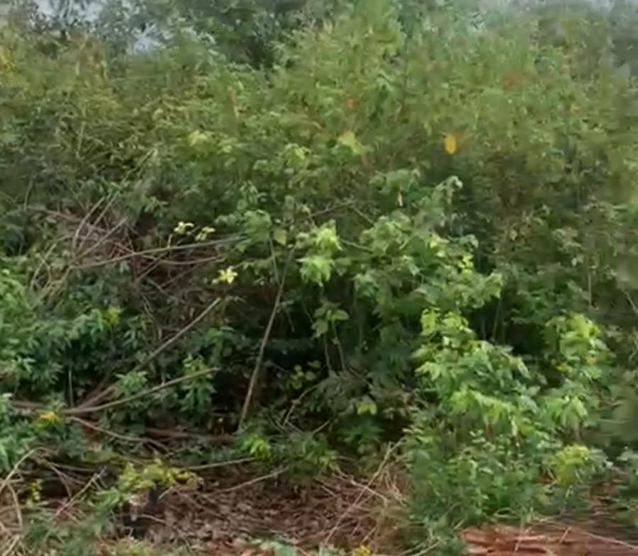 Fifth image of 7 Fairview, Spanish Town in Spanish Town, St. Catherine, Jamaica - property is For Sale