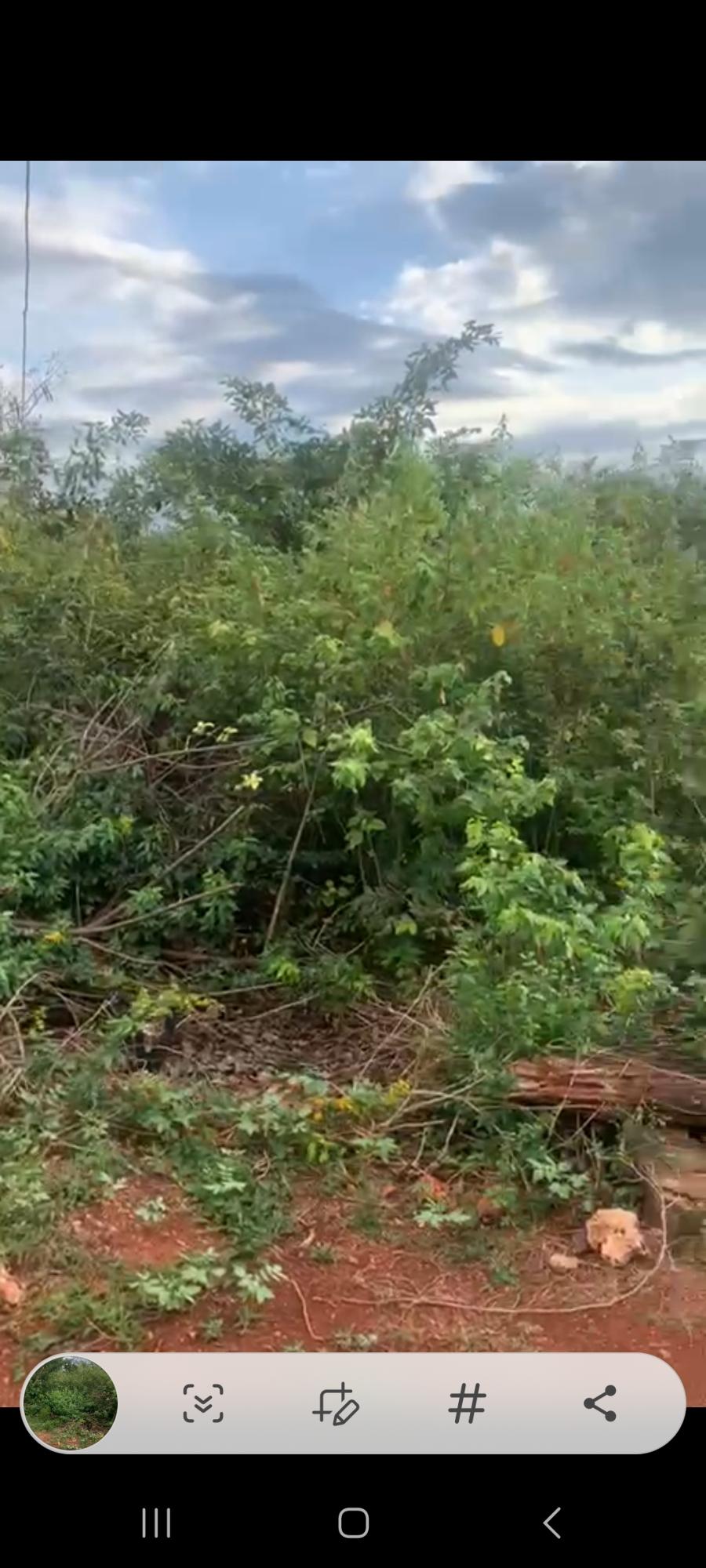 Fifth image of 7 Fairview, Spanish Town in Spanish Town, St. Catherine, Jamaica - property is For Sale