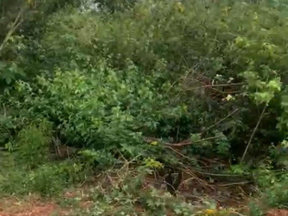 First image of 7 Fairview, Spanish Town in Spanish Town, St. Catherine, Jamaica - property is For Sale