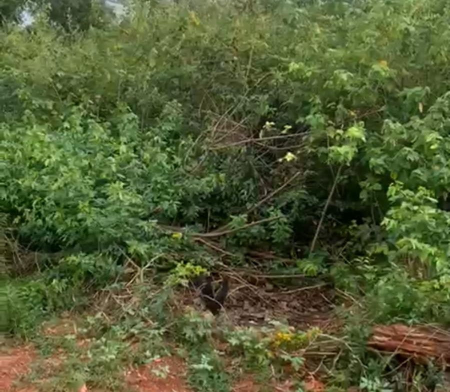 Seventh image of 7 Fairview, Spanish Town in Spanish Town, St. Catherine, Jamaica - property is For Sale