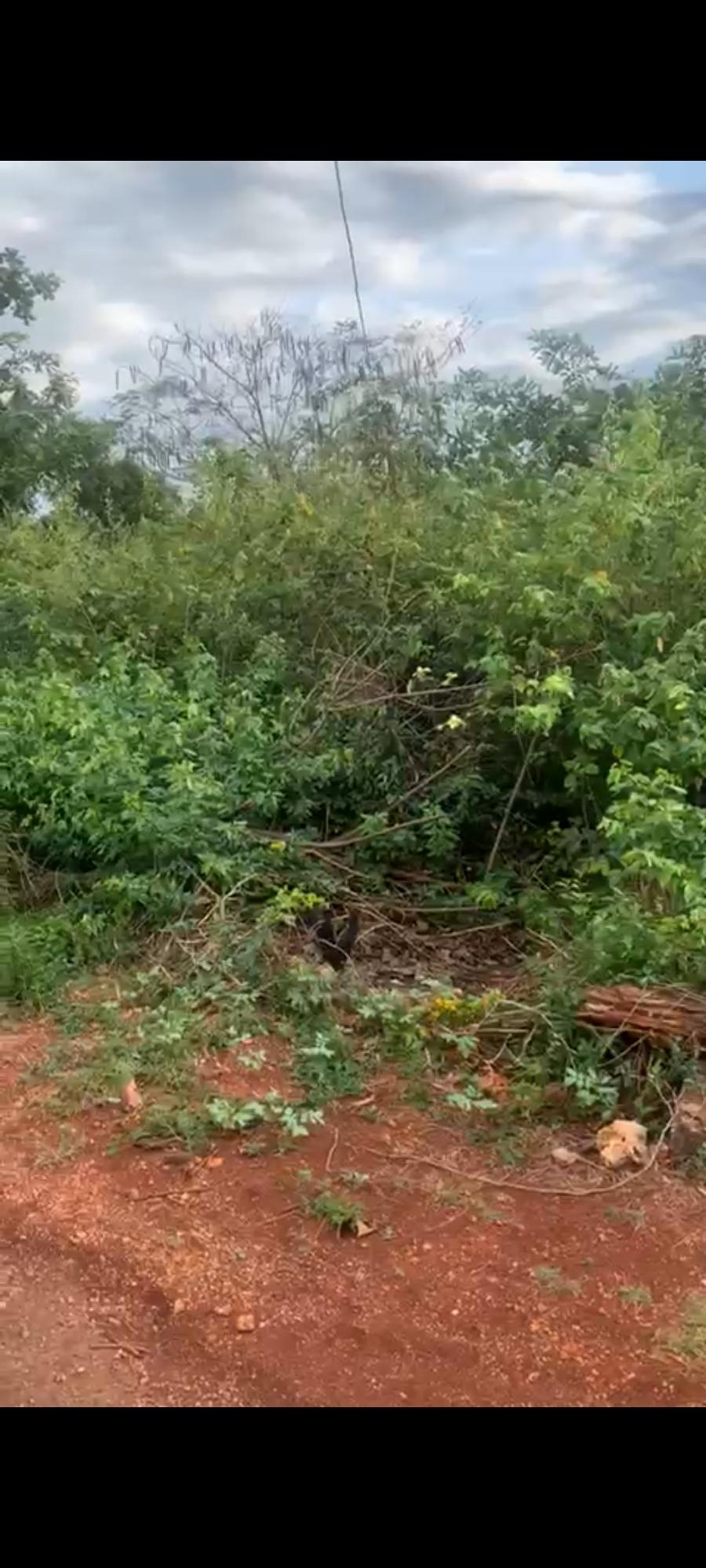 Seventh image of 7 Fairview, Spanish Town in Spanish Town, St. Catherine, Jamaica - property is For Sale