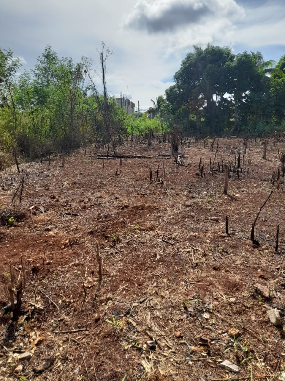 Second image of 651-30 Forsythe Avenue in St. Johns Heights, St. Catherine, Jamaica - property is For Sale