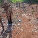 First image of 651-30 Forsythe Avenue in St. Johns Heights, St. Catherine, Jamaica - property is For Sale