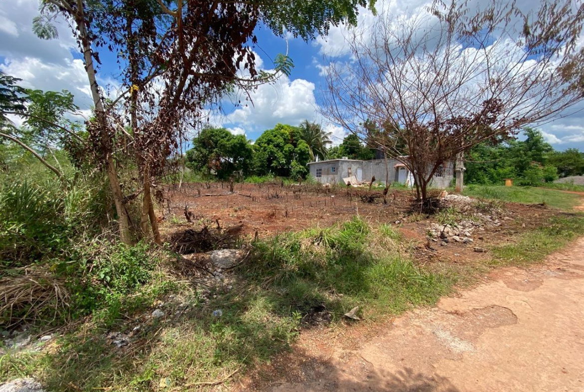 Sixth image of 651-30 Forsythe Avenue in St. Johns Heights, St. Catherine, Jamaica - property is For Sale