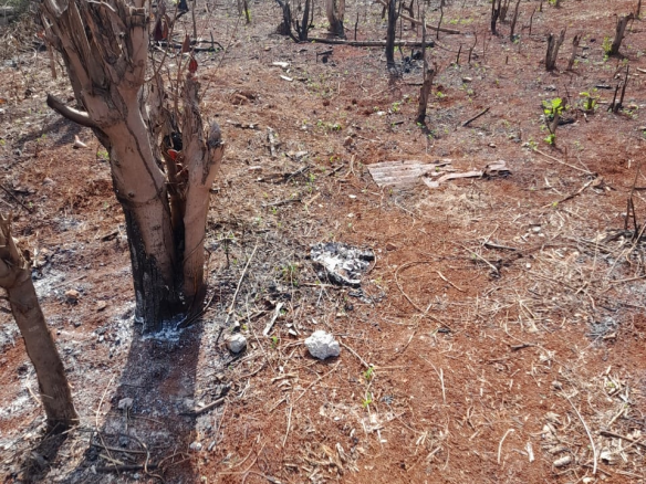 First image of 651-30 Forsythe Avenue in St. Johns Heights, St. Catherine, Jamaica - property is For Sale