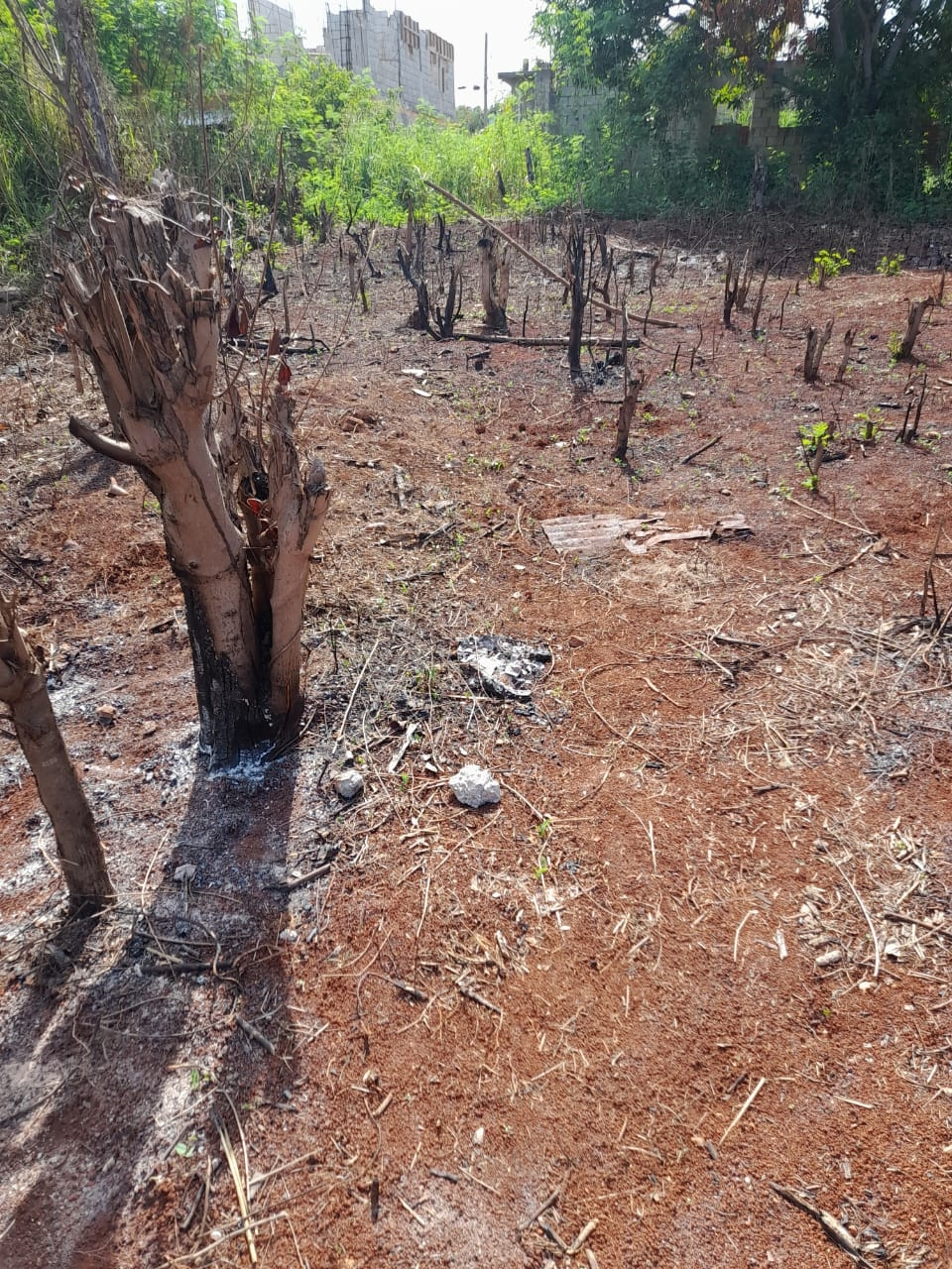 First image of 651-30 Forsythe Avenue in St. Johns Heights, St. Catherine, Jamaica - property is For Sale