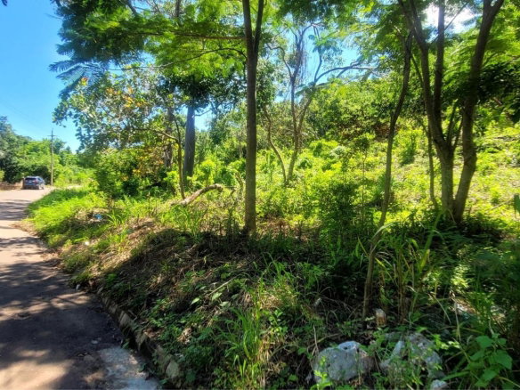 First image of Victoria Town in Victoria Town, Manchester, Jamaica - property is For Sale