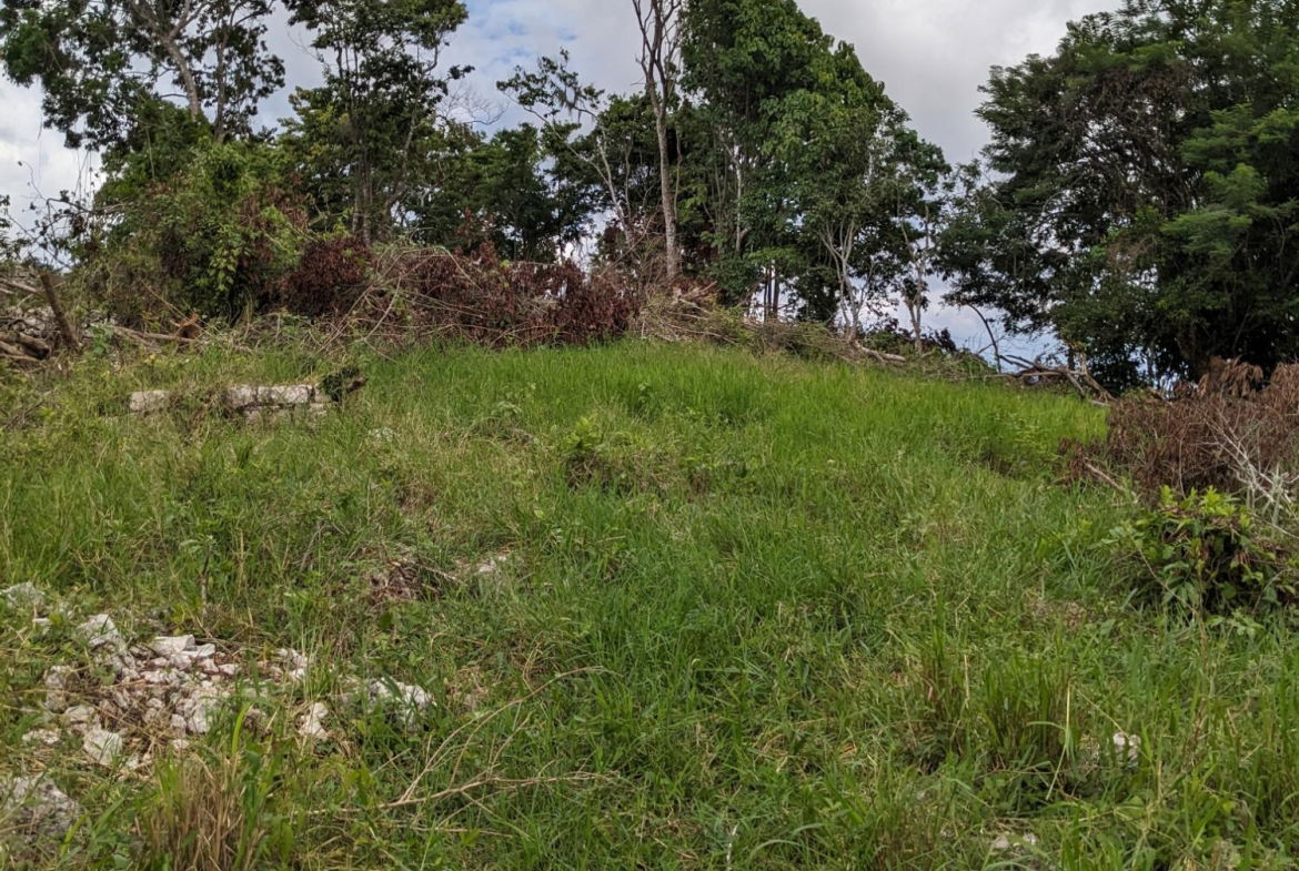 Second image of Epworth st Ann in Davis Town, St. Ann, Jamaica - property is For Sale