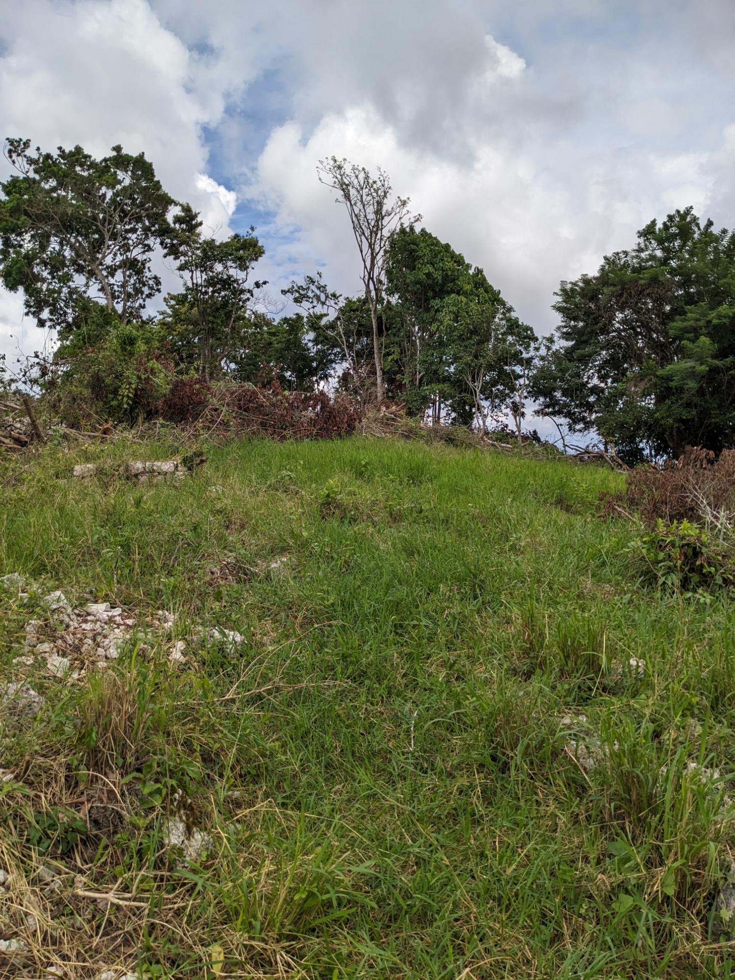 Second image of Epworth st Ann in Davis Town, St. Ann, Jamaica - property is For Sale