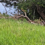 First image of Epworth st Ann in Davis Town, St. Ann, Jamaica - property is For Sale
