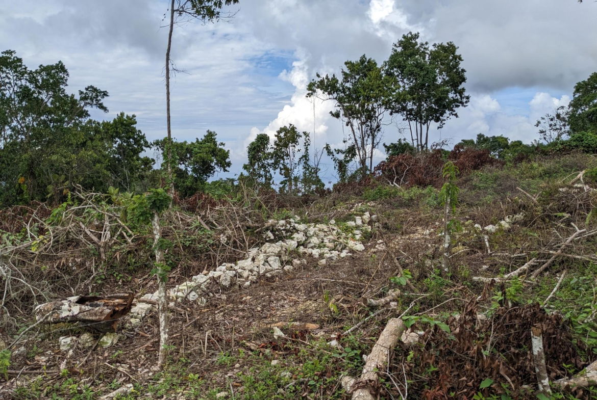 Fifth image of Epworth st Ann in Davis Town, St. Ann, Jamaica - property is For Sale