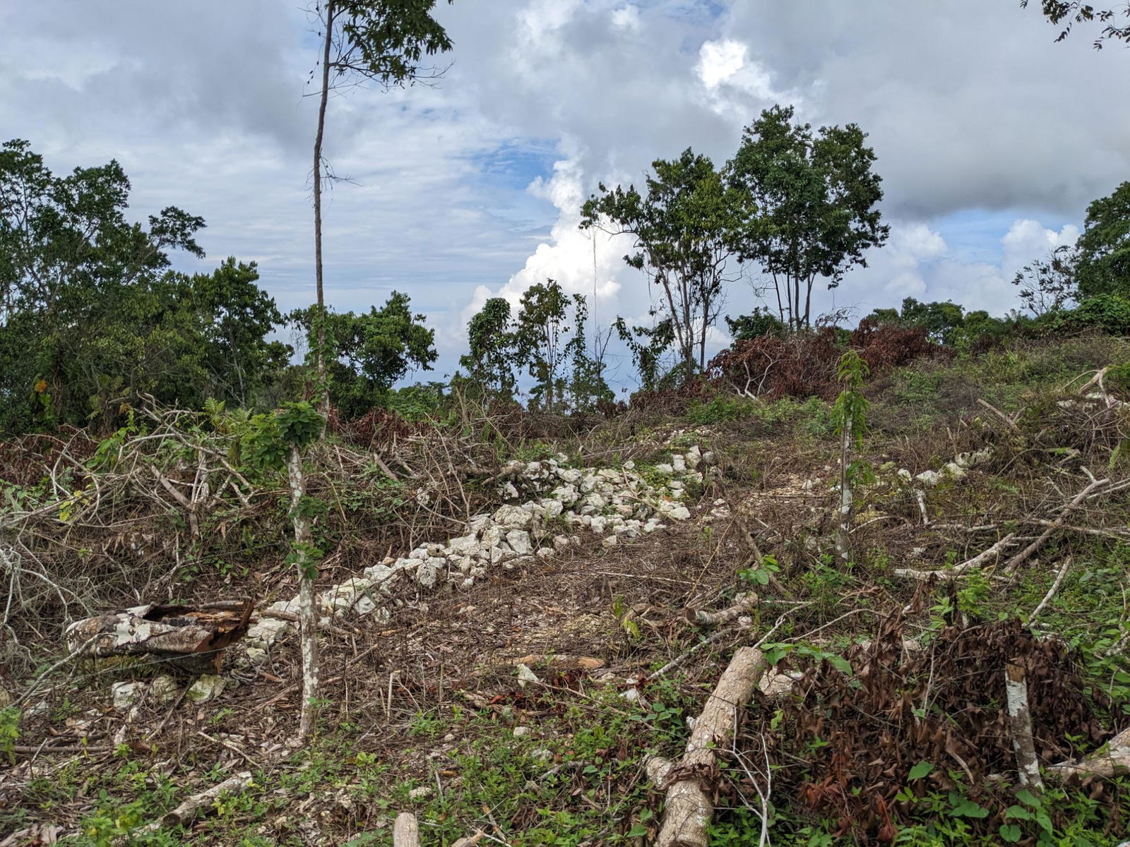Fifth image of Epworth st Ann in Davis Town, St. Ann, Jamaica - property is For Sale