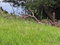 First image of Epworth st Ann in Davis Town, St. Ann, Jamaica - property is For Sale