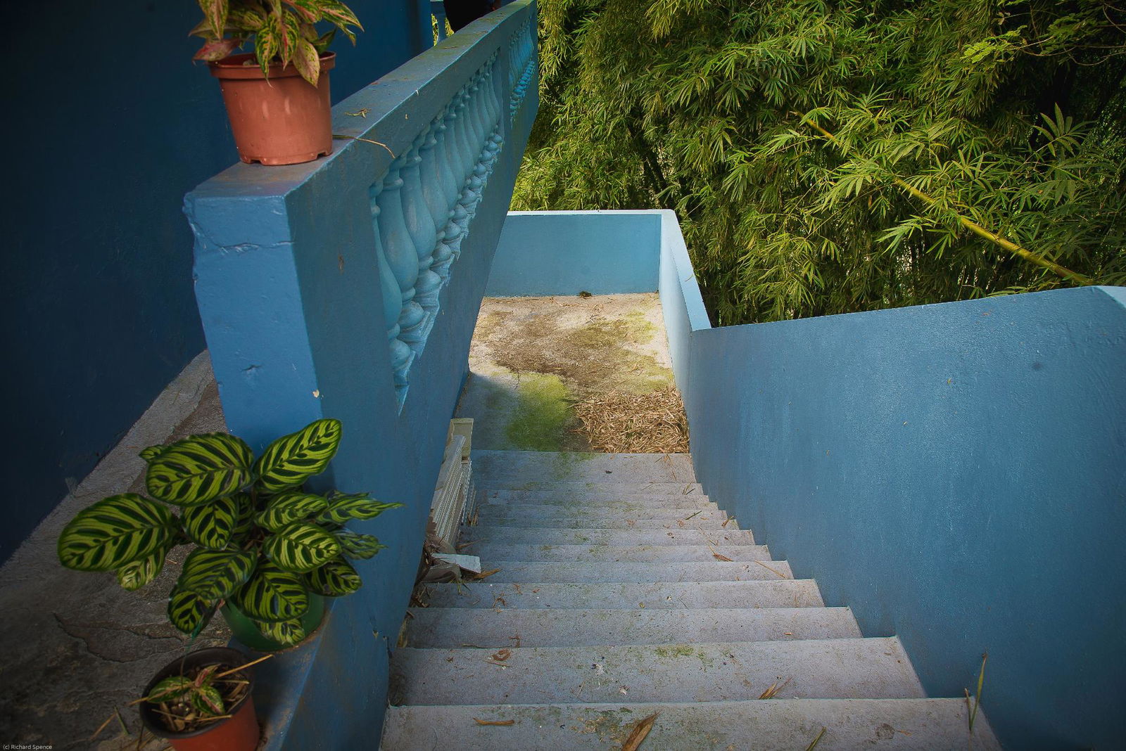 Eleventh image of 3a Shaltel Heights in Temple Hall, St. Andrew, Jamaica - property is For Sale