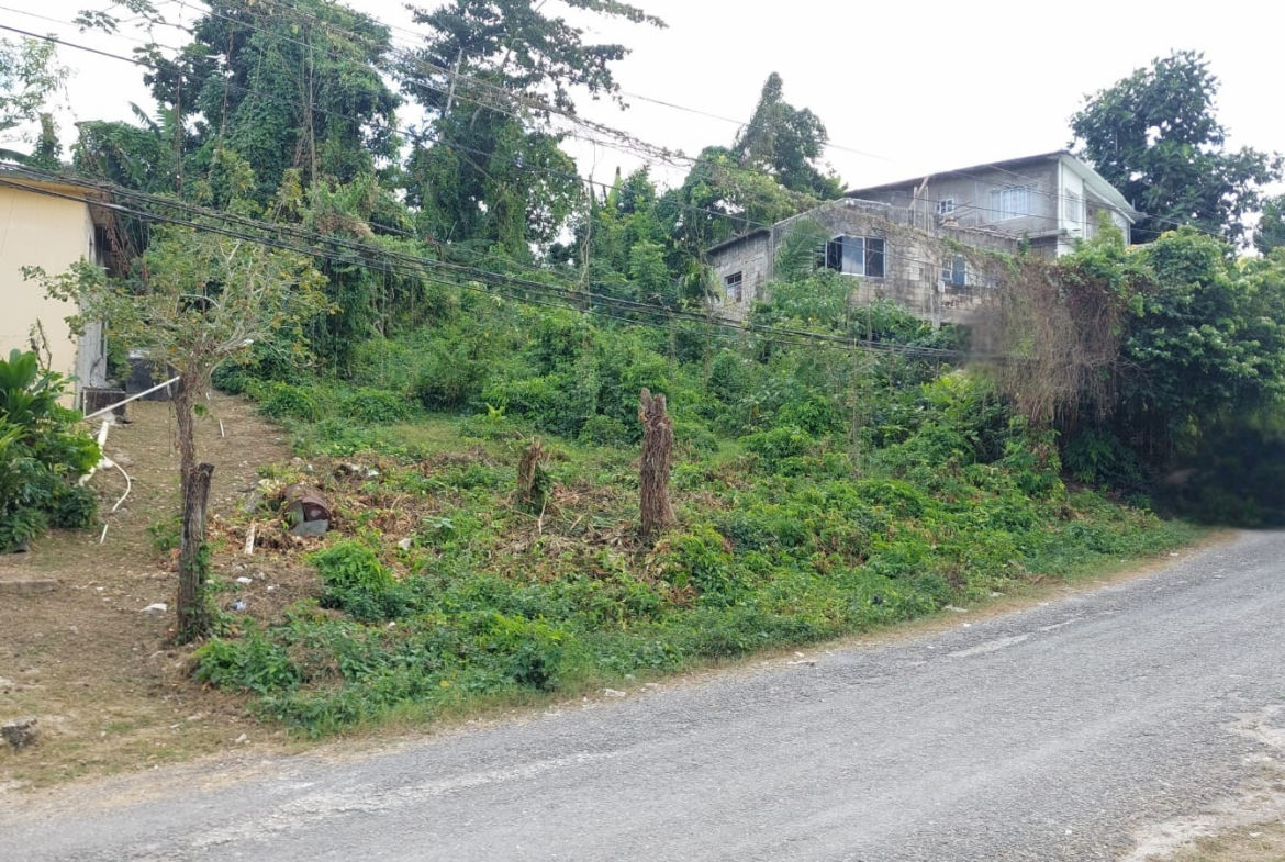 Second image of Lot 115- Horace Drive in Orange Bay, Hanover, Jamaica - property is For Sale