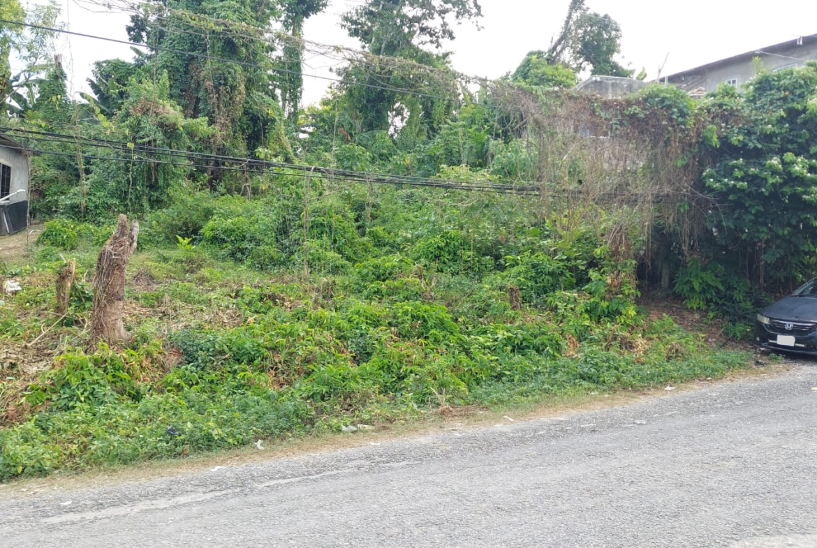 First image of Lot 115- Horace Drive in Orange Bay, Hanover, Jamaica - property is For Sale