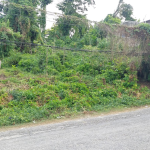 First image of Lot 115- Horace Drive in Orange Bay, Hanover, Jamaica - property is For Sale