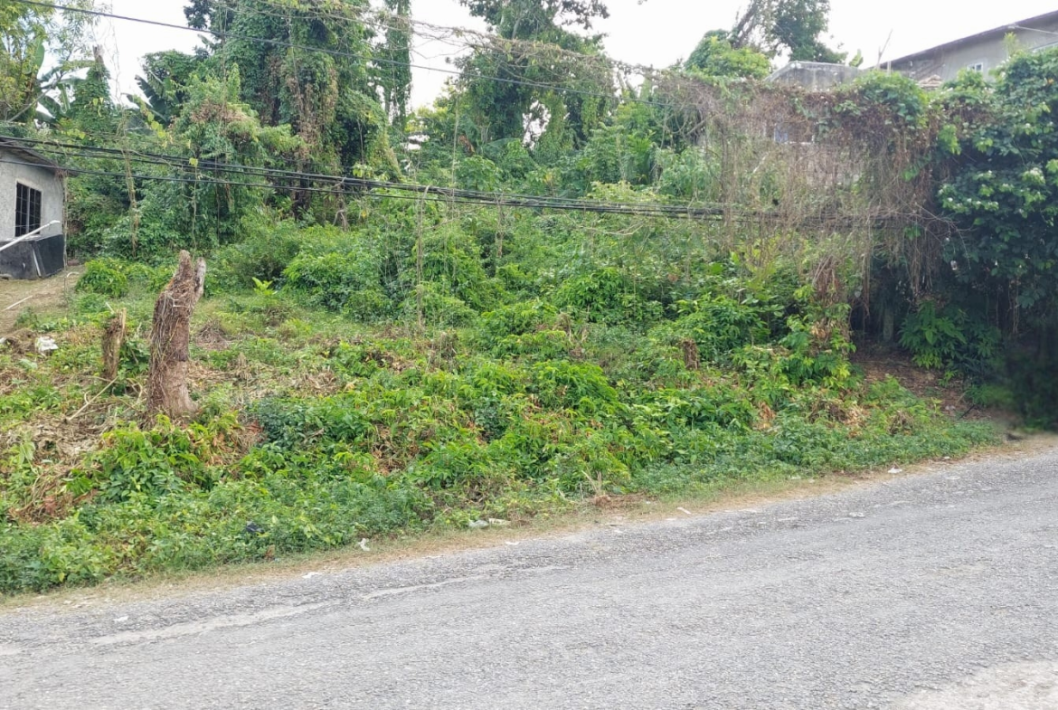 Fourth image of Lot 115- Horace Drive in Orange Bay, Hanover, Jamaica - property is For Sale