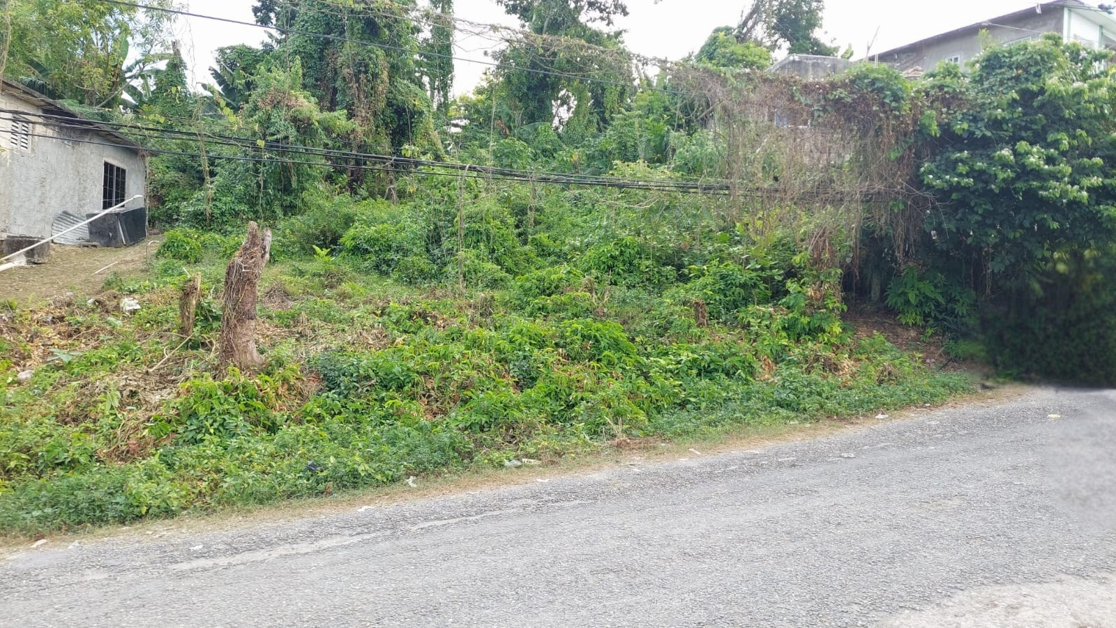 Fourth image of Lot 115- Horace Drive in Orange Bay, Hanover, Jamaica - property is For Sale