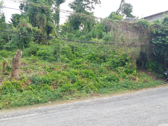 First image of Lot 115- Horace Drive in Orange Bay, Hanover, Jamaica - property is For Sale