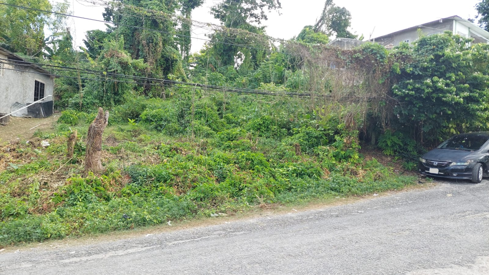 First image of Lot 115- Horace Drive in Orange Bay, Hanover, Jamaica - property is For Sale