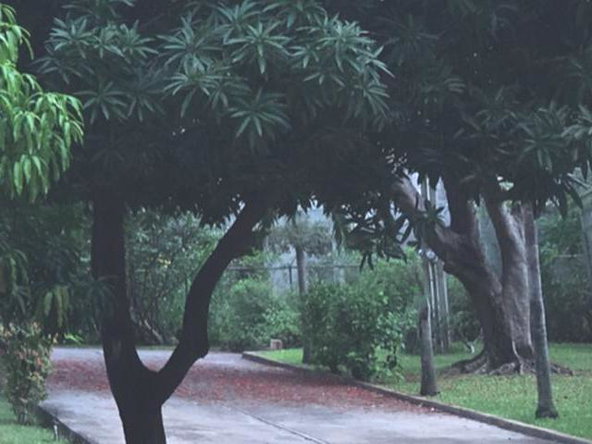 Second image of 3-16 Belvedere Road in Kingston 19, St. Andrew, Jamaica - property is For Rent