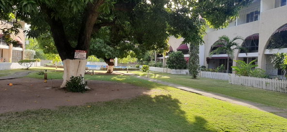 Eighteenth image of 53-60 Hope Road in Kingston 6, St. Andrew, Jamaica - property is For Rent