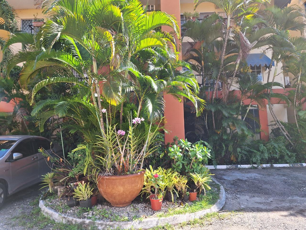 Spacious-3-Bedroom-Apartment-for-Rent-in-Jamaica-St.-Andrew Fourteenth image of 105- Dunrobin Acres in Kingston 10, St. Andrew, Jamaica - property is For Rent