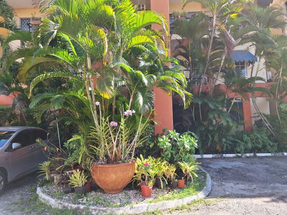 Fourteenth image of 105- Dunrobin Acres in Kingston 10, St. Andrew, Jamaica - property is For Rent